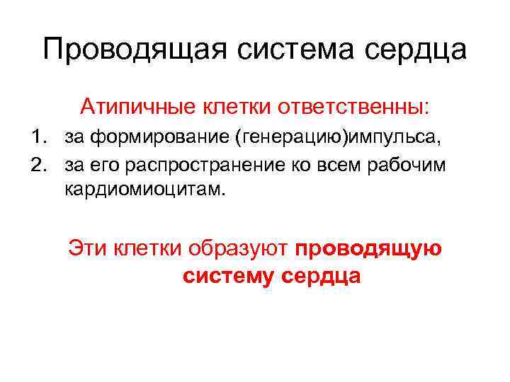 Проводящая система сердца Атипичные клетки ответственны: 1. за формирование (генерацию)импульса, 2. за его распространение