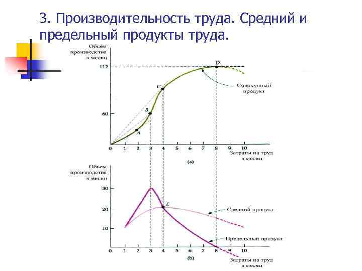3. Производительность труда. Средний и предельный продукты труда. 