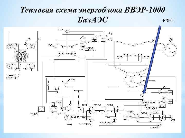 Тепловая схема ввэр 1000