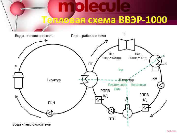 Тепловая схема ВВЭР-1000 