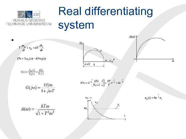 Real differentiating system • 