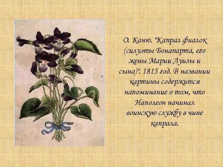 О. Каню. "Капрал фиалок (силуэты Бонапарта, его жены Марии Луизы и сына)". 1815 год.