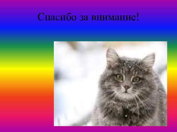 Спасибо за внимание! 