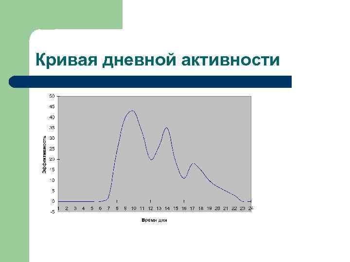 Кривая дневной активности l Кривая Дневной активности 