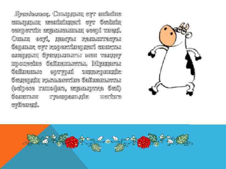 Буаздылық. Сиырдың сүт өніміне сиырдың желініндегі сүт безінің секреттік жұмысының әсері тиеді. Оның өсуі,
