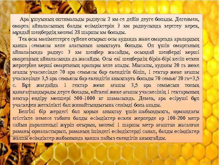  Ара ұшуының оптимальды радиусы 2 км-ге дейін деуге болады. Дегенмен, омарта айналасының балды