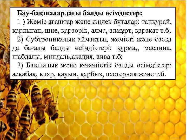 Бау-бақшалардағы балды өсімдіктер: 1 ) Жеміс ағаштар және жидек бұталар: таңқурай, қарлыған, шие, қараөрік,