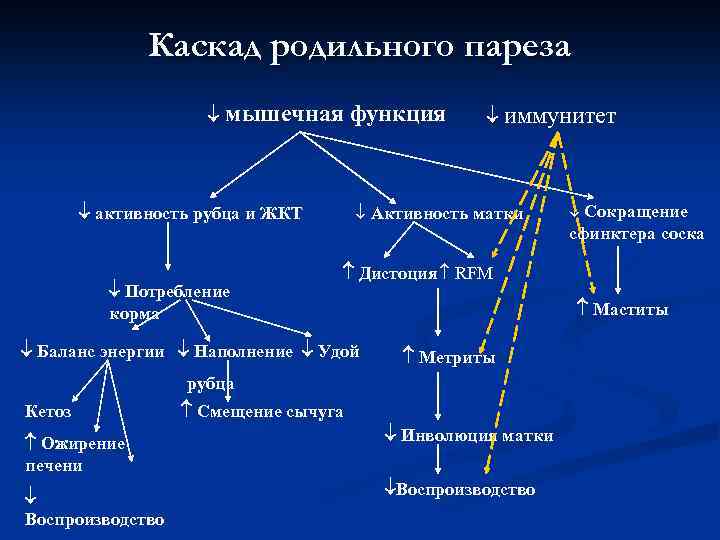 Каскад родильного пареза мышечная функция активность рубца и ЖКТ Потребление корма иммунитет Активность матки