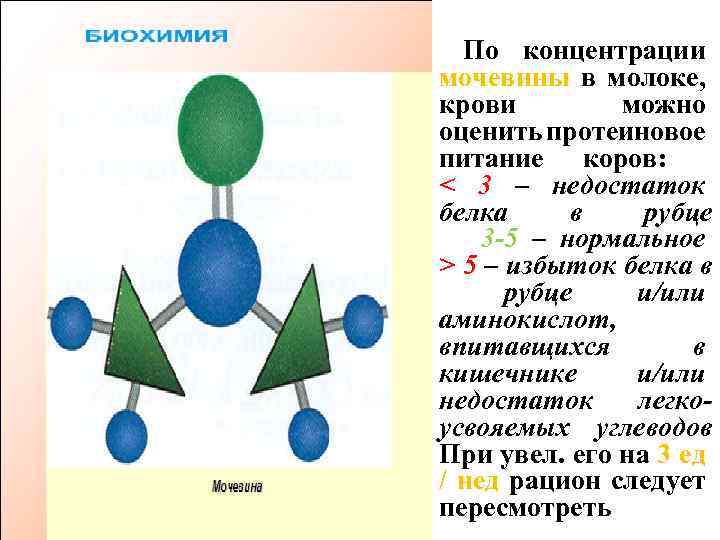 По концентрации мочевины в молоке, крови можно оценить пpотеиновое питание коров: < 3 –