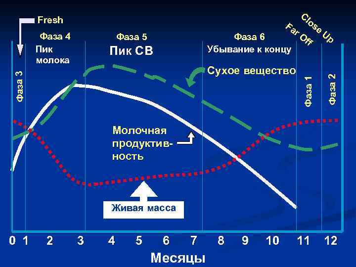 Фаза 5 Пик СВ Фаза 3 Сухое вещество Фаза 2 Фаза 4 Пик молока
