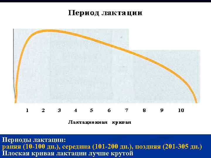 Периоды лактации: раняя (10 -100 дн. ), середина (101 -200 дн. ), поздняя (201