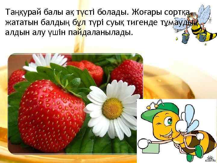 Таңқурай балы ақ түсті болады. Жоғары сортқа жататын балдың бұл түрі суық тигенде тұмаудың