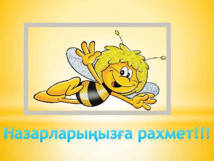 Назарларыңызға рахмет!!! 