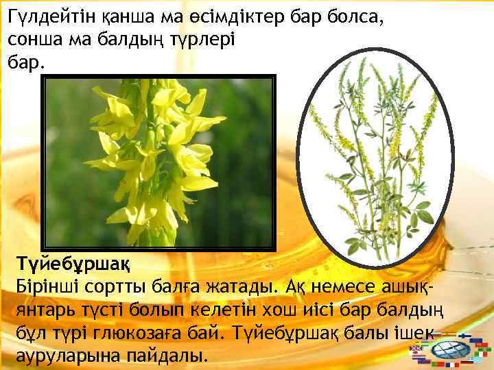 Гүлдейтін қанша ма өсімдіктер бар болса, сонша ма балдың түрлері бар. Түйебұршақ Бірінші сортты