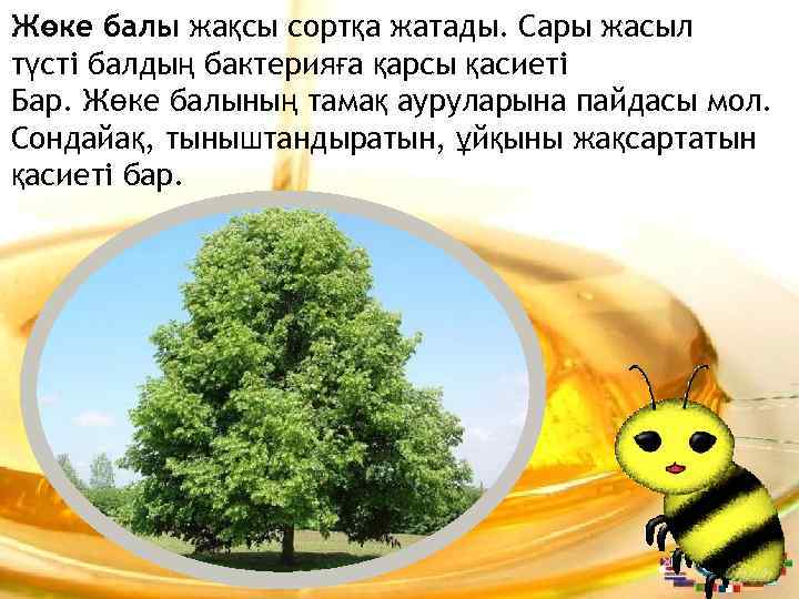 Жөке балы жақсы сортқа жатады. Сары жасыл түсті балдың бактерияға қарсы қасиеті Бар. Жөке