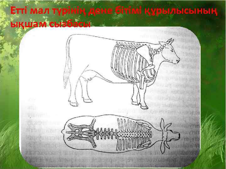 Что такое мал. Мал мал мал. Сугемота мал. Малдар утлай понятие. Мордиала мал.