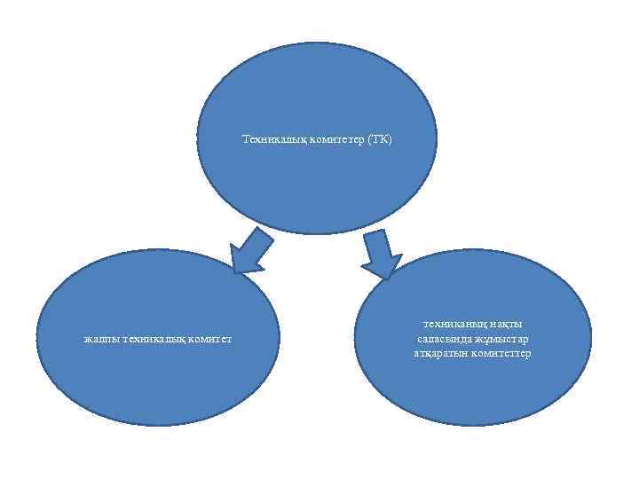 Техникалық комитетер (ТК) жалпы техникалық комитет техниканың нақты саласында жұмыстар атқаратын комитеттер 