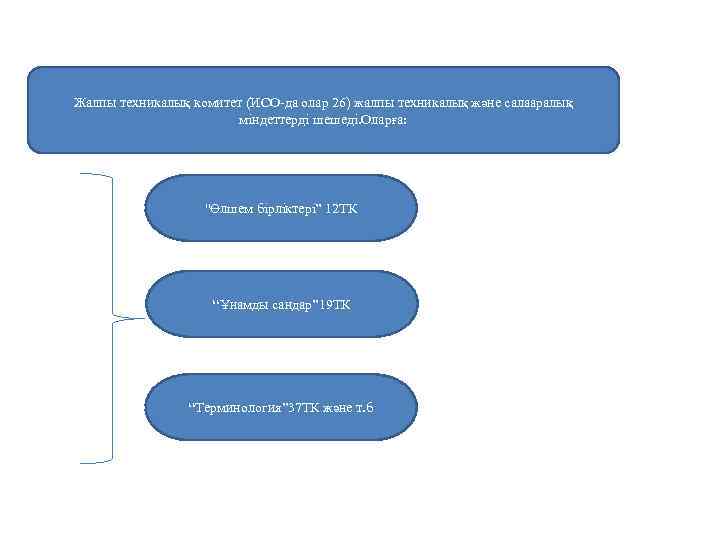 Жалпы техникалық комитет (ИСО-да олар 26) жалпы техникалық және салааралық міндеттерді шешеді. Оларға: ''Өлшем