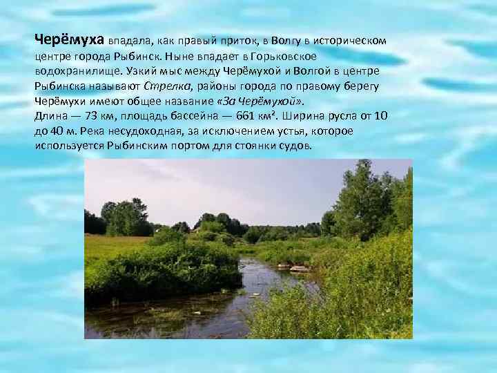 Черёмуха впадала, как правый приток, в Волгу в историческом центре города Рыбинск. Ныне впадает