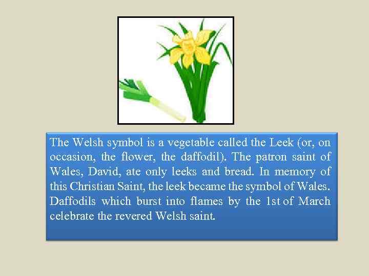 The Welsh symbol is a vegetable called the Leek (or, on occasion, the flower,