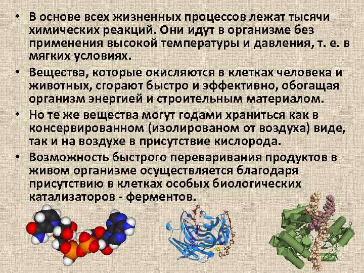  • В основе всех жизненных процессов лежат тысячи химических реакций. Они идут в