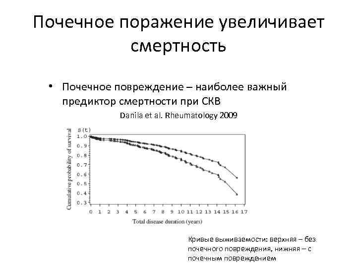 Почечное поражение увеличивает смертность • Почечное повреждение – наиболее важный предиктор смертности при СКВ