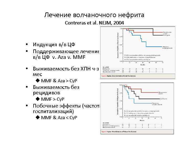 Лечение волчаночного нефрита Contreras et al. NEJM, 2004 • Индукция в/в ЦФ • Поддерживающее