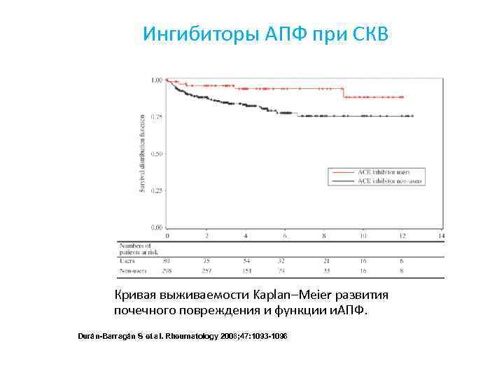 Ингибиторы АПФ при СКВ Кривая выживаемости Kaplan–Meier развития почечного повреждения и функции и. АПФ.