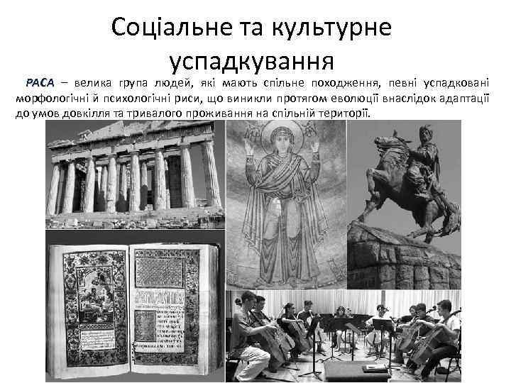 Соціальне та культурне успадкування РАСА – велика група людей, які мають спільне походження, певні