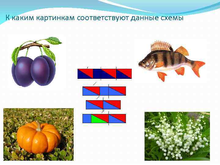 К каким картинкам соответствуют данные схемы 