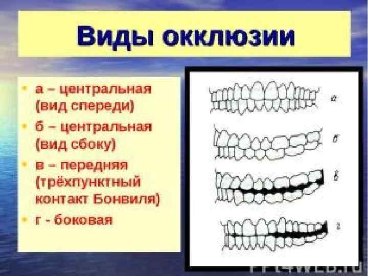 Контакты окклюзии. Центральная окклюзия.