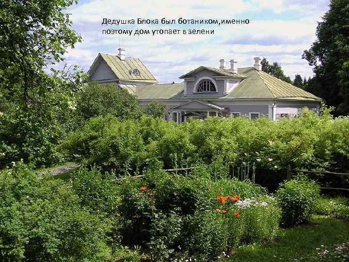 Дедушка Блока был ботаником, именно поэтому дом утопает в зелени 
