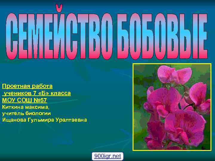 Проетная работа учеников 7 «Б» класса МОУ СОШ № 57 Киткина максима, учитель биологии