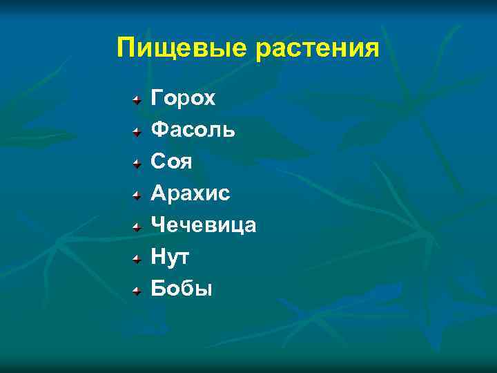 Пищевые растения Горох Фасоль Соя Арахис Чечевица Нут Бобы 