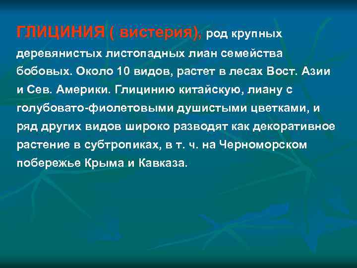 ГЛИЦИНИЯ ( вистерия), род крупных деревянистых листопадных лиан семейства бобовых. Около 10 видов, растет