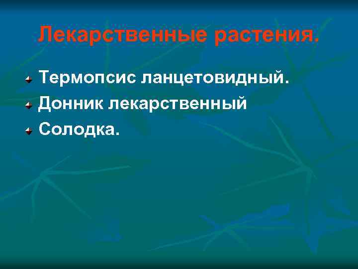 Лекарственные растения. Термопсис ланцетовидный. Донник лекарственный Солодка. 