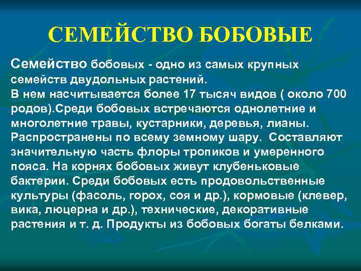 СЕМЕЙСТВО БОБОВЫЕ Семейство бобовых - одно из самых крупных семейств двудольных растений. В нем