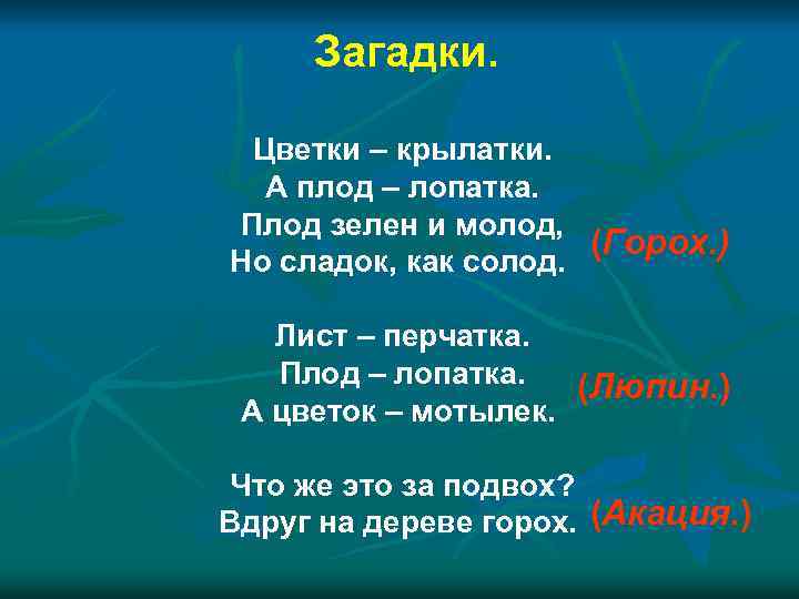 Загадки. Цветки – крылатки. А плод – лопатка. Плод зелен и молод, (Горох. )