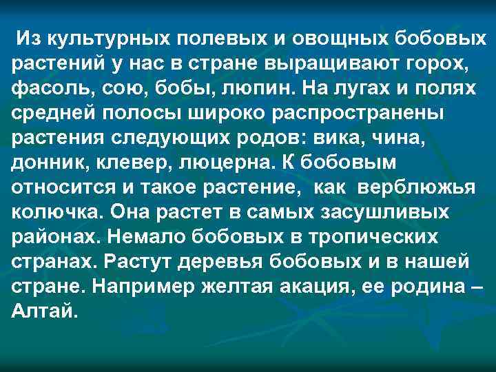  Из культурных полевых и овощных бобовых растений у нас в стране выращивают горох,