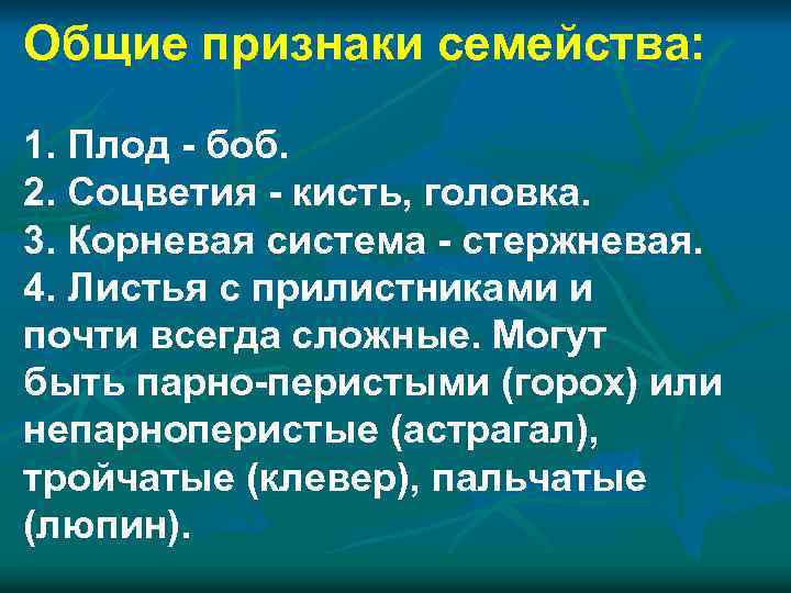 Общие признаки семейства: 1. Плод - боб. 2. Соцветия - кисть, головка. 3. Корневая