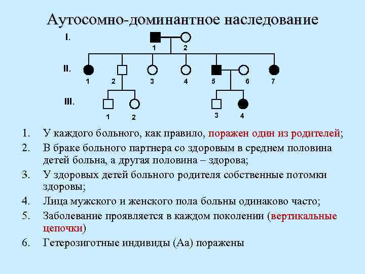 Аутосомно-доминантное наследование I. 1 2 II. 2 1 3 4 5 6 7 III.