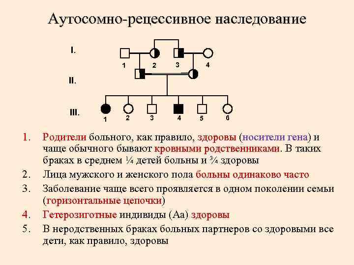 Аутосомно-рецессивное наследование I. 1 2 3 4 II. III. 1. 2. 3. 4. 5.