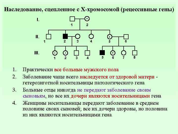 Сцепленное наследование генов презентация 10 класс