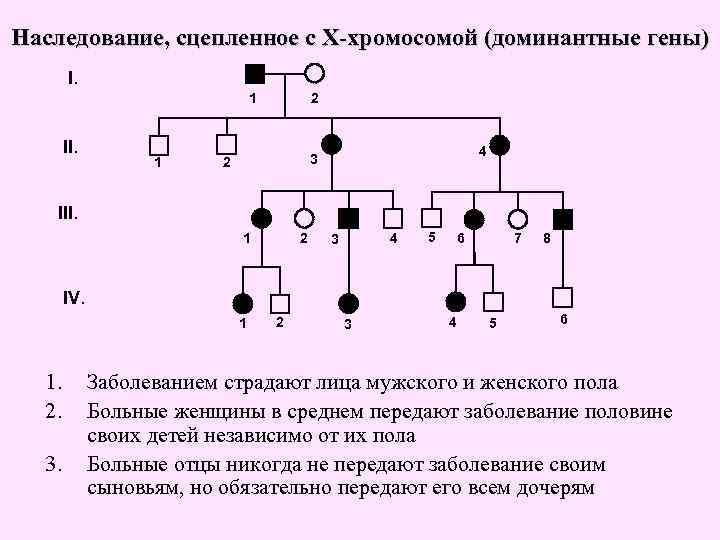 Сцепленное наследование генов презентация 10 класс