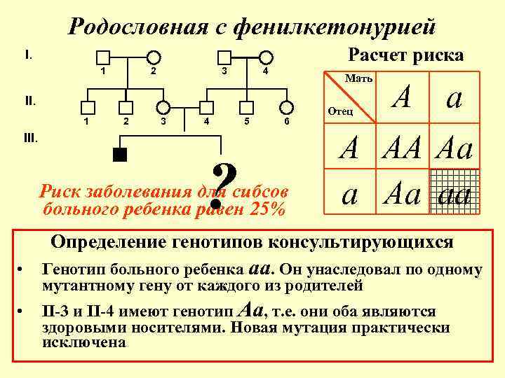 Анализ родословной