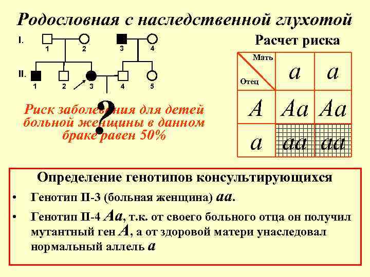 Родословная с наследственной глухотой I. 1 3 2 4 Мать II. 1 2 Расчет