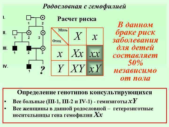 Генетика родословная схема