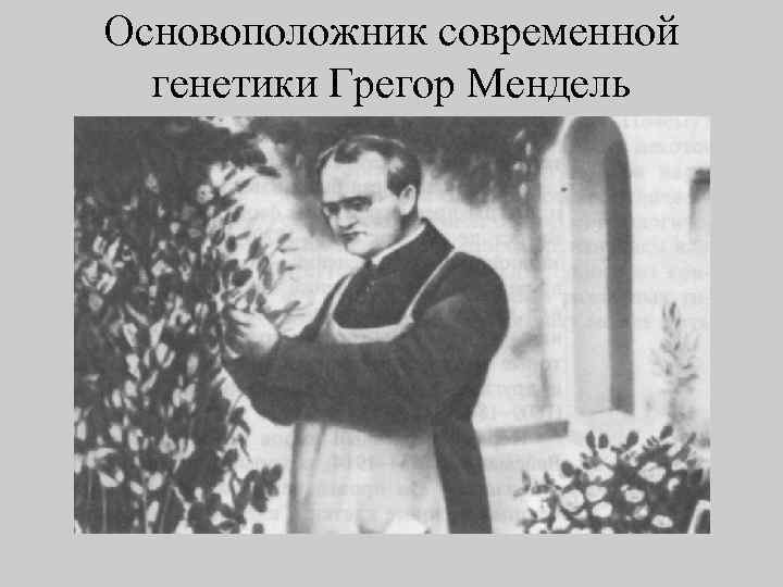 Основоположник современной генетики Грегор Мендель 