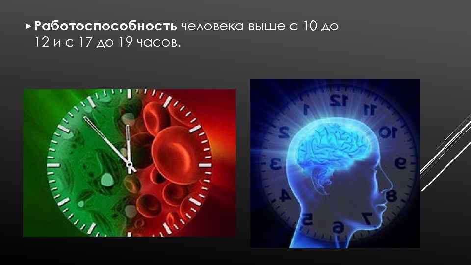  Работоспособность человека 12 и с 17 до 19 часов. выше с 10 до