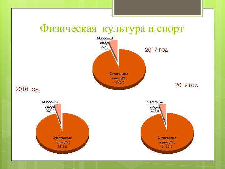 Физическая культура и спорт Массовый спорт; 225, 0 2017 год Физическая культура, 4076. 8